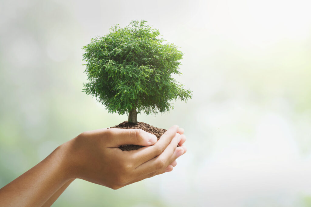Epic Corporate Social Responsibility
